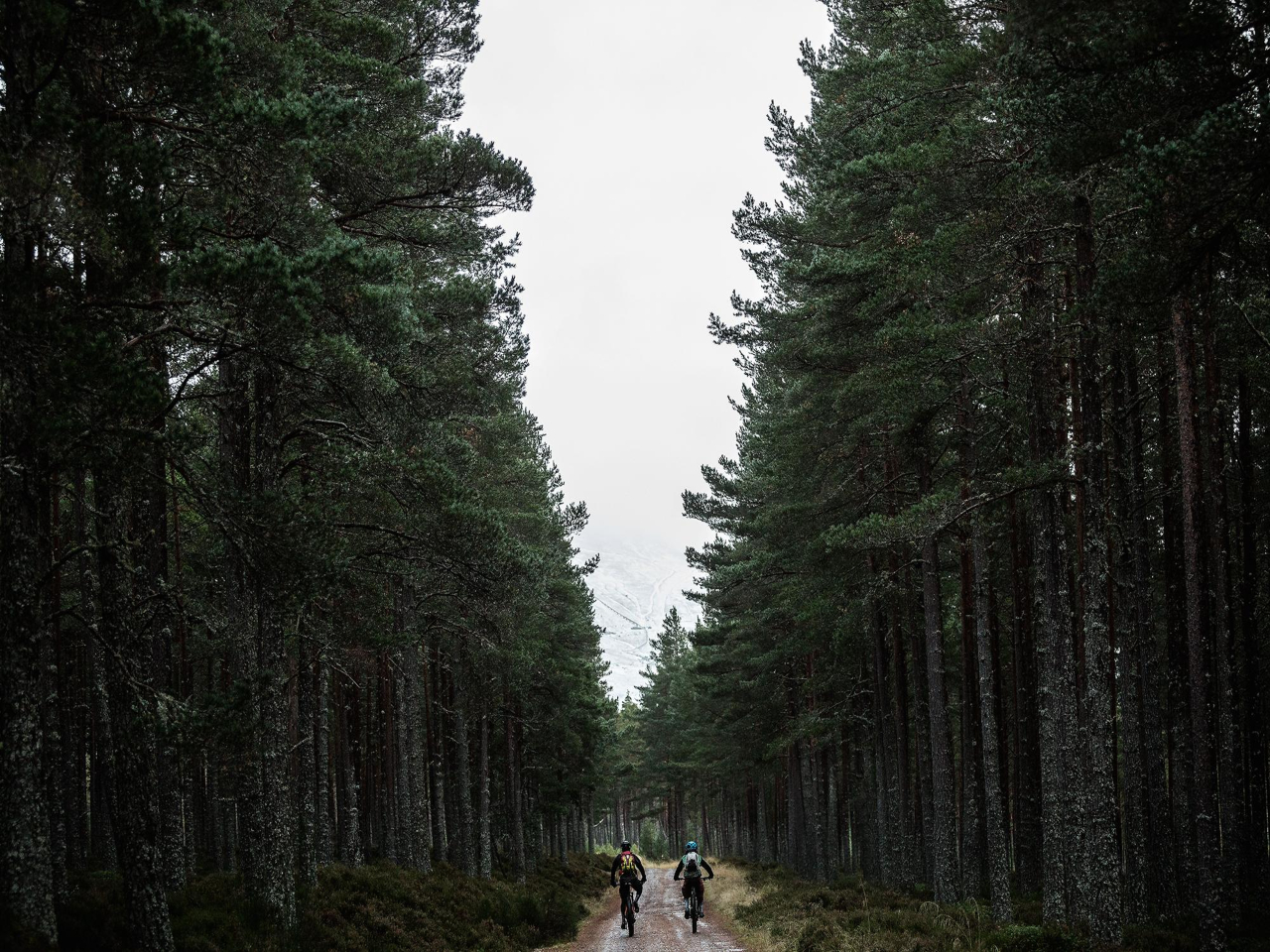 Mountain Biking Badaguish